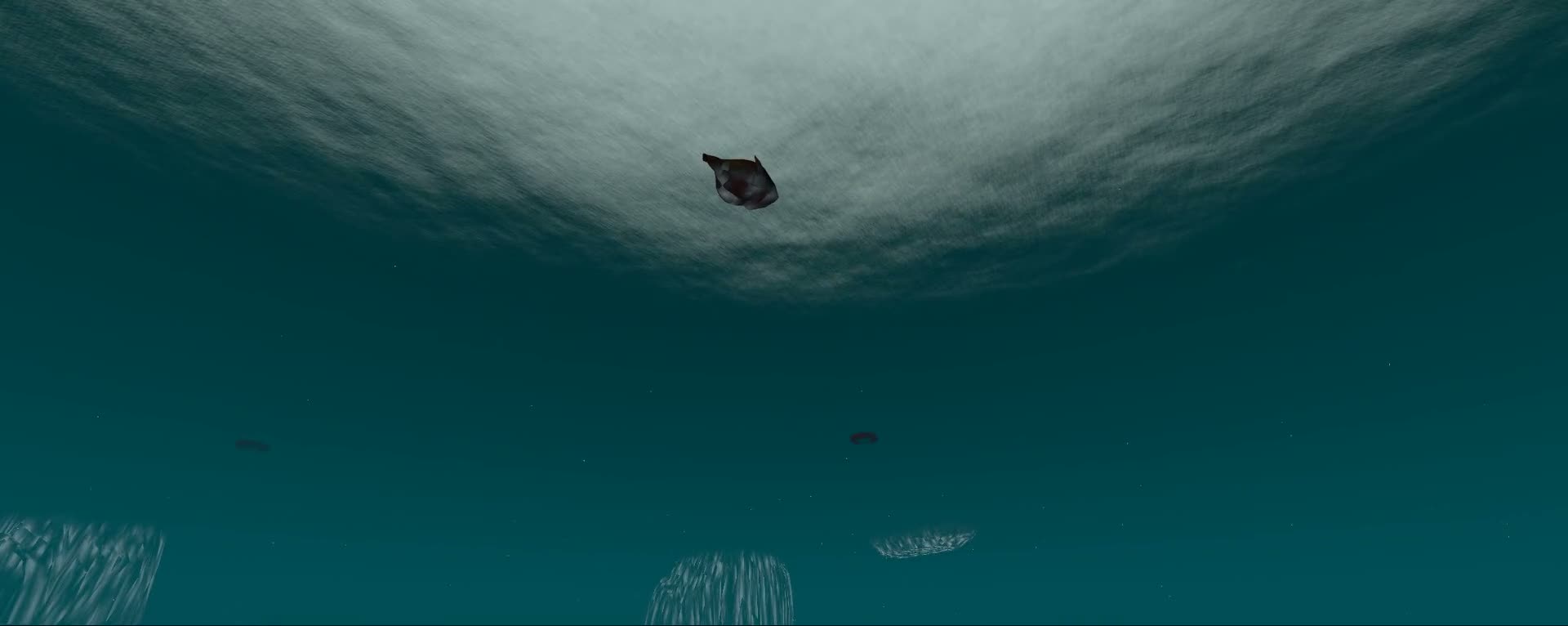 Tidewater underwater view with caustics and Snell’s window
